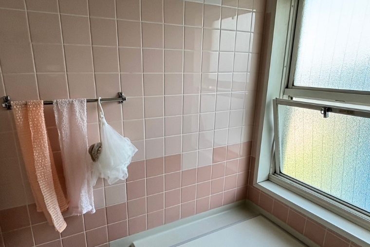 浴室入り口手すり1