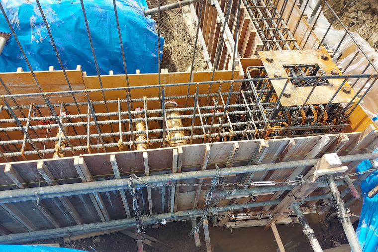 YM_86.png